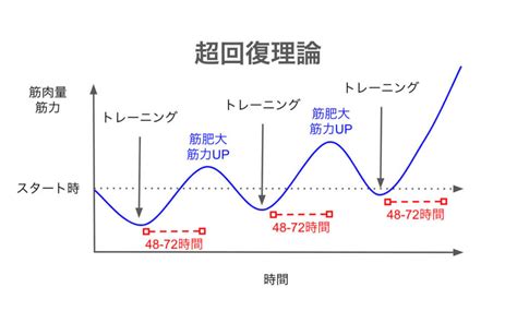 超回復 部位|超回復と筋肉痛の関係＆部位別の期間・時。